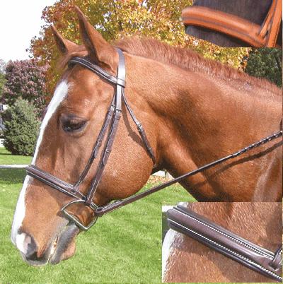 Bridles & Halters - Quality English Horse Tack & Horse supplies for the  equestrian enthusiast.